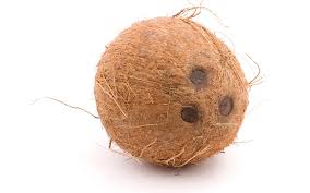 coconut